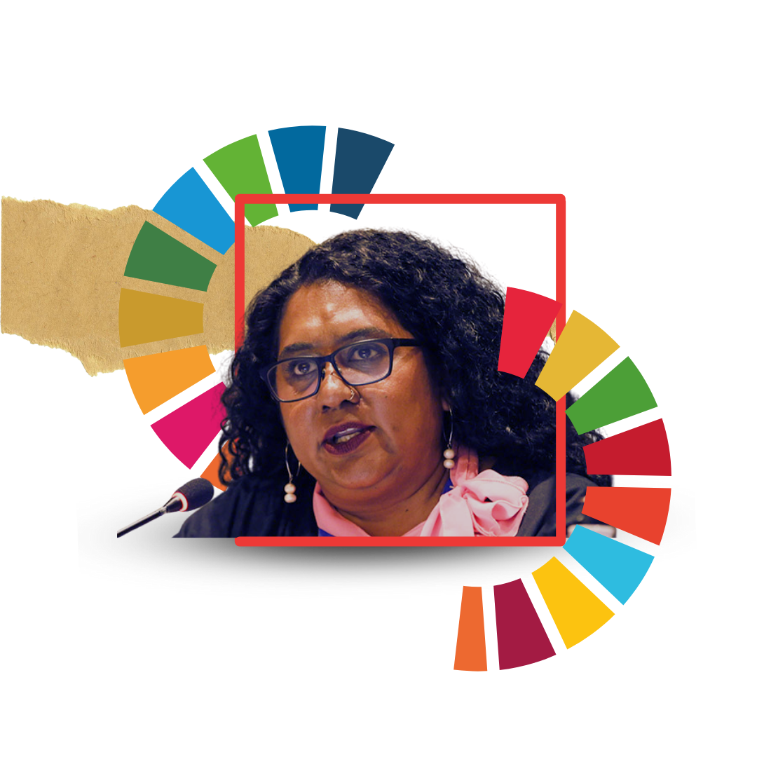Collage of a photo of civil society representative talking into a UN microphone, the SDGs wheel and some paper. The speaker looks determined.