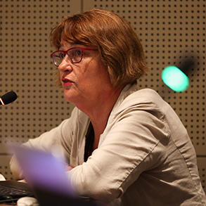 CSO representative delivering an intervention on behalf of Stakeholder Group in Ageing at HLPF