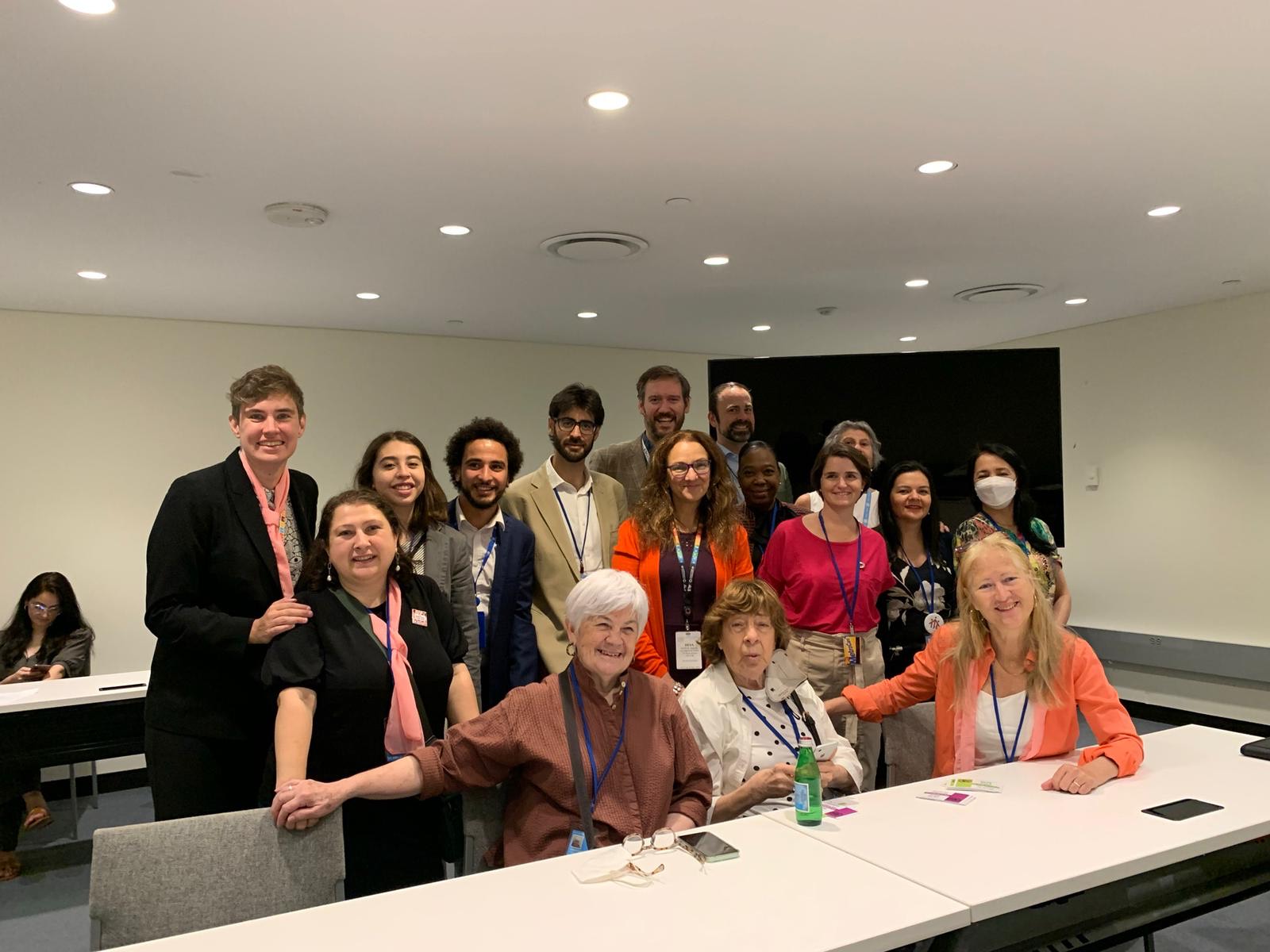 15 civil society representatives from MGoS and one representative from UN DESAm, all smiling into the camera.