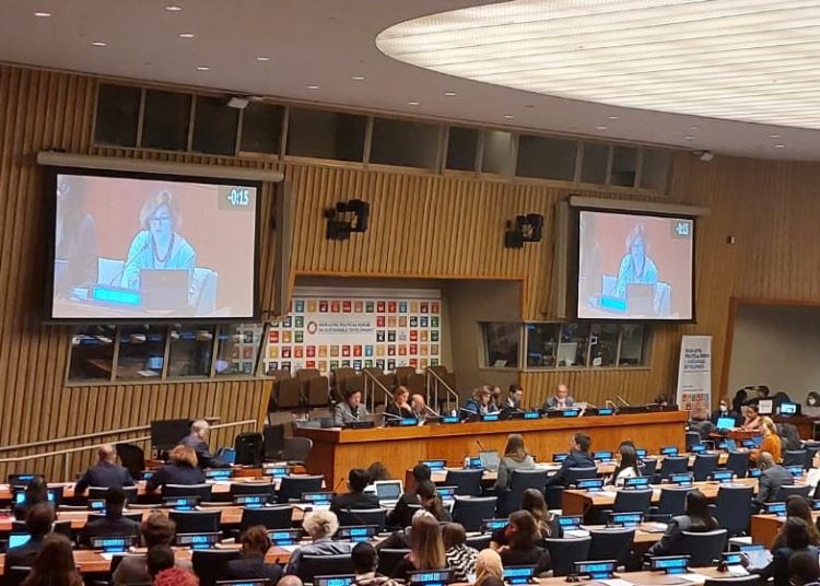 UN headquarters plenary, with two huge screens showing a civil society representative delivering an intervention. The people in the room are looking at the screens.