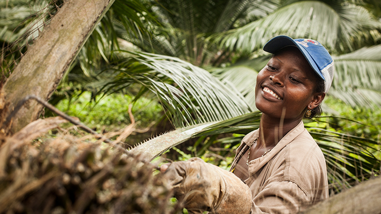 Woman working in a forest
