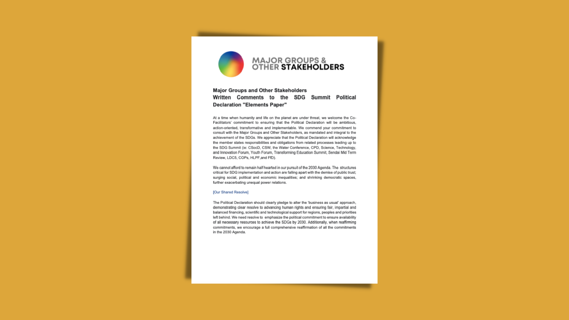 Printscreen of the first page of the MGoS submission to the UN